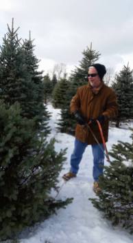 dad cutting down the christmas tree